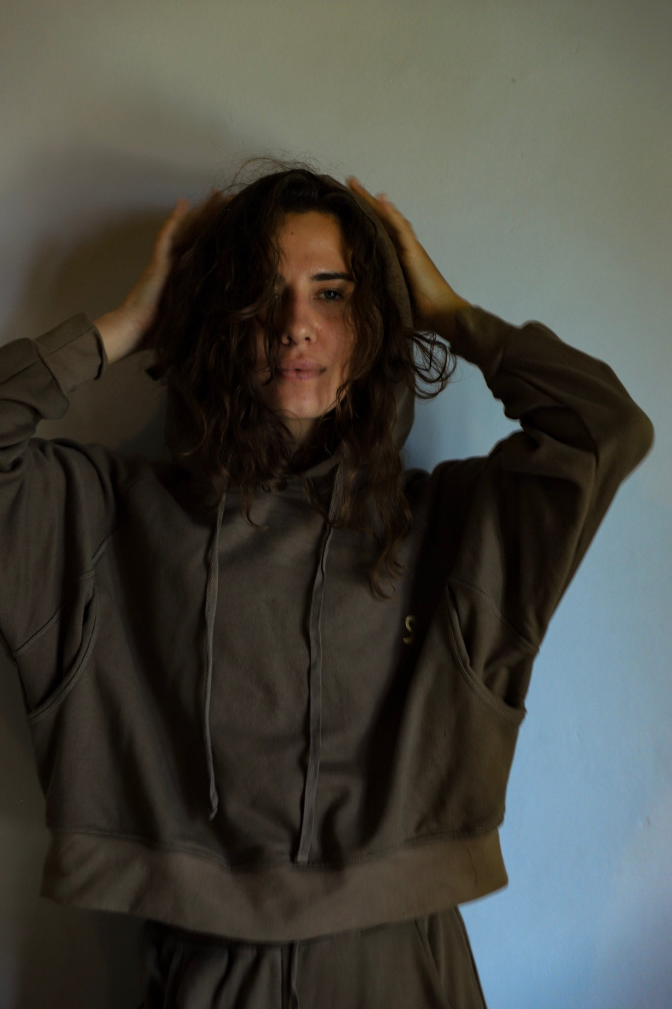 Smooth Brown hoodie
